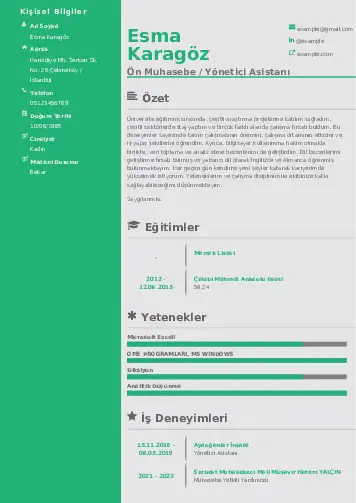 Yönetici Asistanı Cv Örnekleri cv indir